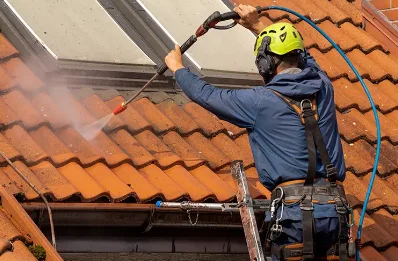 Démoussage et hydrofuge de toiture à Sainte-Marie-Lapanouze
